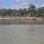 Seca prolonga viagem pelo Rio Juruá, impactando comércio local no Acre Seca prolonga viagem pelo Rio Juruá, impactando comércio local no Acre