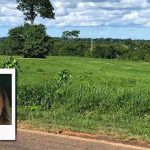 Justiça concede prisão domiciliar a PMs envolvidos na morte de enfermeira Justiça concede prisão domiciliar a PMs envolvidos na morte de enfermeira