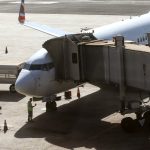 Comissão do governo vai definir regras para transporte aéreo de pets Comissão do governo vai definir regras para transporte aéreo de pets