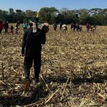 Comitiva federal visita áreas de conflitos indígenas em MS