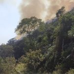 Governo federal pedirá que quatro estados proíbam fogo em áreas rurais
