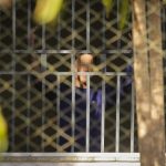 Adolescente que fez professora refém queria R$ 200 para pagar dívida