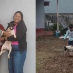 Família venezuelana morre em queda de avião em Vinhedo; cachorrinha também estava a bordo Família venezuelana morre em queda de avião em Vinhedo; cachorrinha também estava a bordo