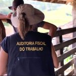 Operação federal resgata 593 pessoas submetidas a trabalho escravo