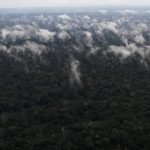 Emissão de gases do efeito estufa por queimadas na Amazônia cresce 60%