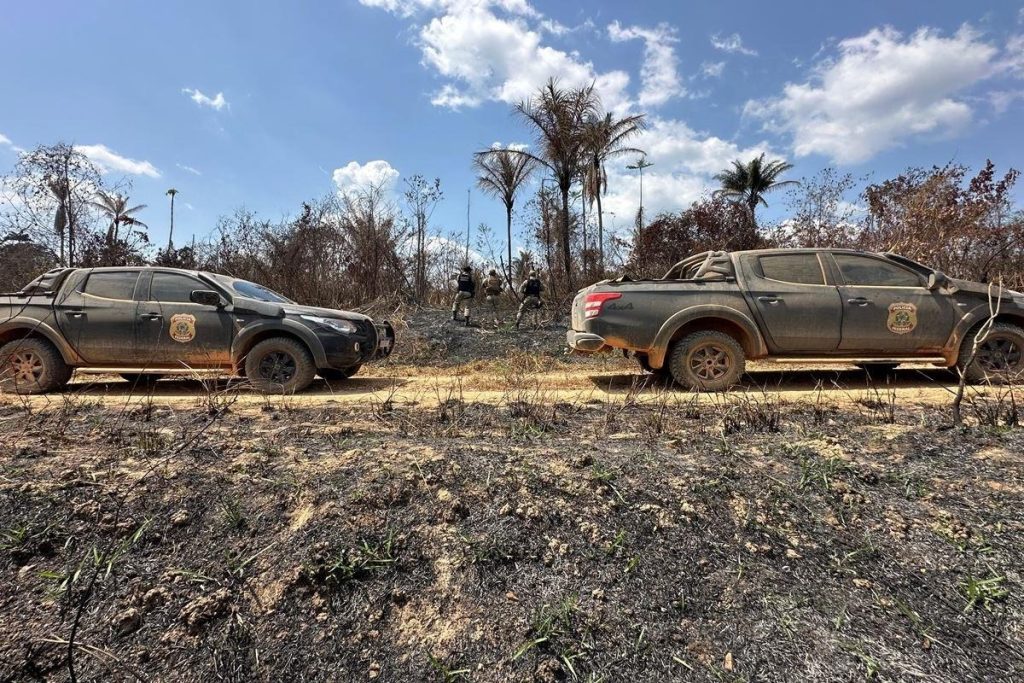 Incêndios criminosos na Terra Indígena Apyterewa: PF investiga ligação com roubo de gado