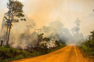 Desmatamento avança na Resex Chico Mendes, a segunda área de proteção mais devastada em 2024