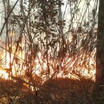 Polícia do Rio realiza operações contra suspeitos de causar incêndios