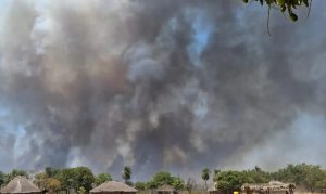 Indígenas de MT lutam por sobrevivência após um mês de queimadas