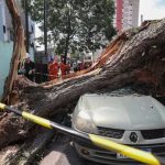 Moradores de SP são avisados que energia volta na segunda; 1,35 milhão ainda está sem luz Moradores de SP são avisados que energia volta na segunda; 1,35 milhão ainda está sem luz