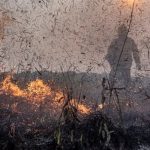 Focos de incêndios no Brasil já são 76% maiores que em 2023