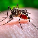 Número de casos: Acre registra mais de 4 mil casos prováveis de dengue