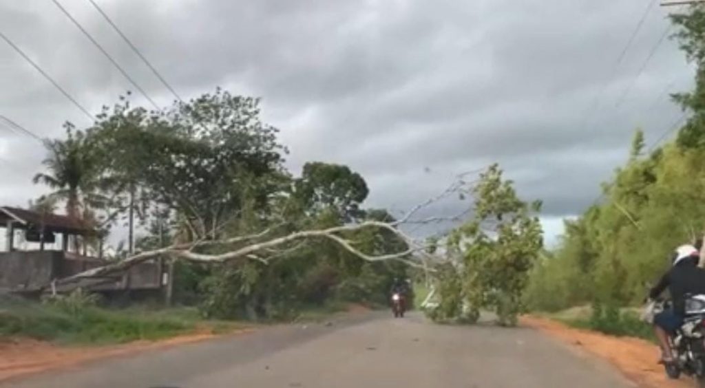 Ventania causa estragos na estrada que liga Rio Branco a Porto Acre Ventania causa estragos na estrada que liga Rio Branco a Porto Acre