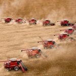 Dívida das maiores recuperações judiciais do agro soma R$ 12,3 bilhões