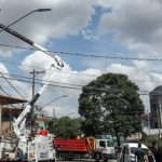 Prefeitura de SP diz que há 6 mil podas de árvores pendentes por causa da Enel; empresa nega Prefeitura de SP diz que há 6 mil podas de árvores pendentes por causa da Enel; empresa nega