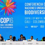 Debate na COP16 chega a impasse sobre como financiar preservação