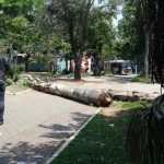 SP: após apagão, bares e restaurantes pedem mais prazo para impostos
