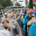 F1: Fila debaixo de chuva e demora marcam manhã em Interlagos