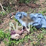 Ossada humana é encontrada enrolada em lençol em área de mata na Cidade do Povo Ossada humana é encontrada enrolada em lençol em área de mata na Cidade do Povo