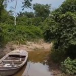 Seca histórica no Acre: comunidade isolada no Seringal Palmaripé enfrenta 4 dias de caminhada para chegar a Feijó Seca histórica no Acre: comunidade isolada no Seringal Palmaripé enfrenta 4 dias de caminhada para chegar a Feijó