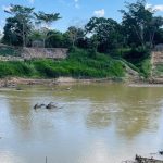 Rio Acre oscila: de 3,55m para 2,08m em poucos dias Rio Acre oscila: de 3,55m para 2,08m em poucos dias