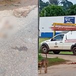Motorista de empresa terceirizada da Energisa invade contramão e mata filhote de cachorro na Baixada da Sobral Motorista de empresa terceirizada da Energisa invade contramão e mata filhote de cachorro na Baixada da Sobral