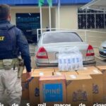 PRF apreende significativa quantidade de cigarros contrabandeados em Rio Branco PRF apreende significativa quantidade de cigarros contrabandeados em Rio Branco