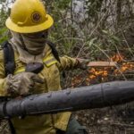 Governo envia brigadas para Roraima no combate a incêndios Governo envia brigadas para Roraima no combate a incêndios