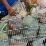 Inflação é de 0,43% em abril, puxada por itens de alimentação e saúde
