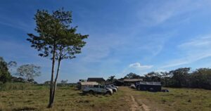 Operação do ICMBio combate desmatamento e criação ilegal na Reserva Chico Mendes