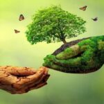 Acre lança Comissão de Educação Ambiental para impulsionar políticas sustentáveis Acre lança Comissão de Educação Ambiental para impulsionar políticas sustentáveis