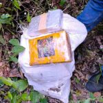 Operação conjunta apreende 23,8 kg de maconha enterrados em ramal de Brasiléia