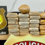 PF e PC apreendem quase 24 kg de maconha em operação conjunta na zona rural de Brasileia