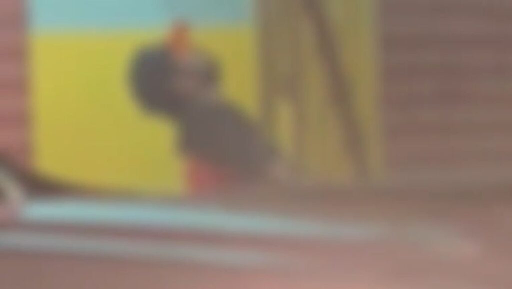 Vídeo mostra criminosos atirando contra bar em tentativa de homicídio no Recanto dos Buritis; criança escapou por pouco