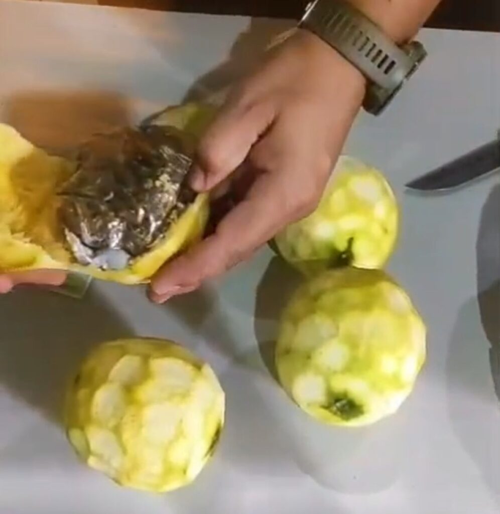 Cinco visitantes são presas ao tentar entrar com drogas escondidas em laranjas no Complexo Penitenciário de Rio Branco