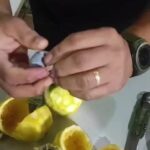 Cinco mulheres são presas ao tentar levar drogas dentro de laranjas no presídio de Rio Branco