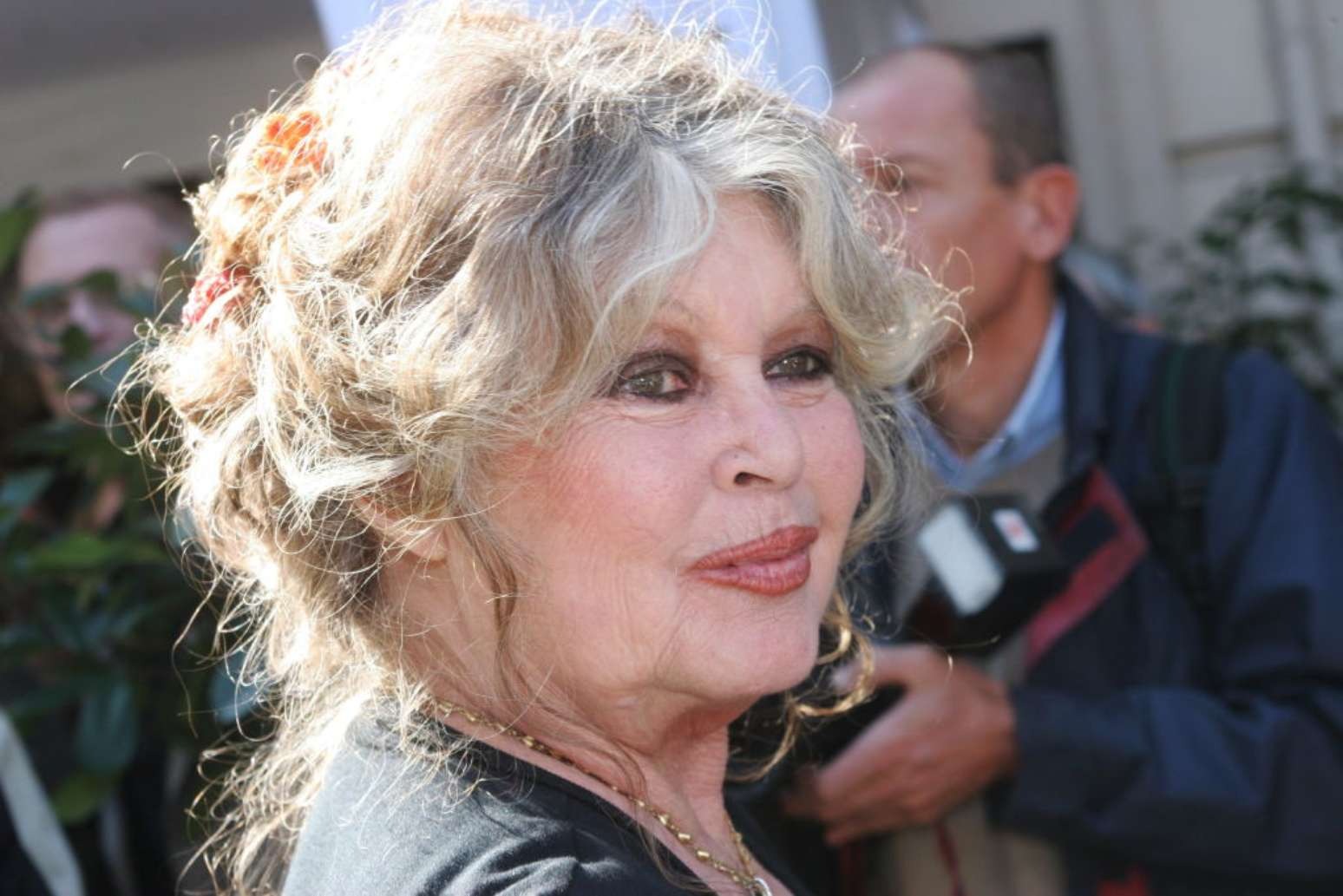 Brigitte Bardot, ícone do cinema francês, morre aos 91 anos Brigitte Bardot, ícone do cinema francês, morre aos 91 anos