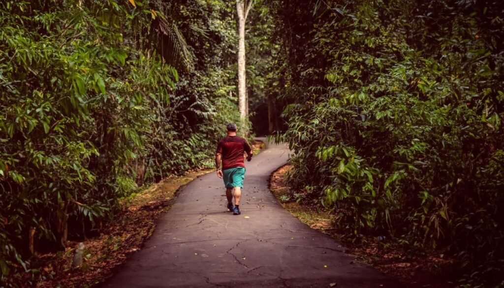 Parque Chico Mendes mantém funcionamento normal durante feriado prolongado em Rio Branco