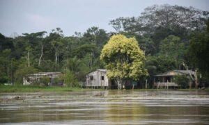 Rio Juruá ultrapassa cota de alerta em Cruzeiro do Sul, mas deve voltar a vazante em breve