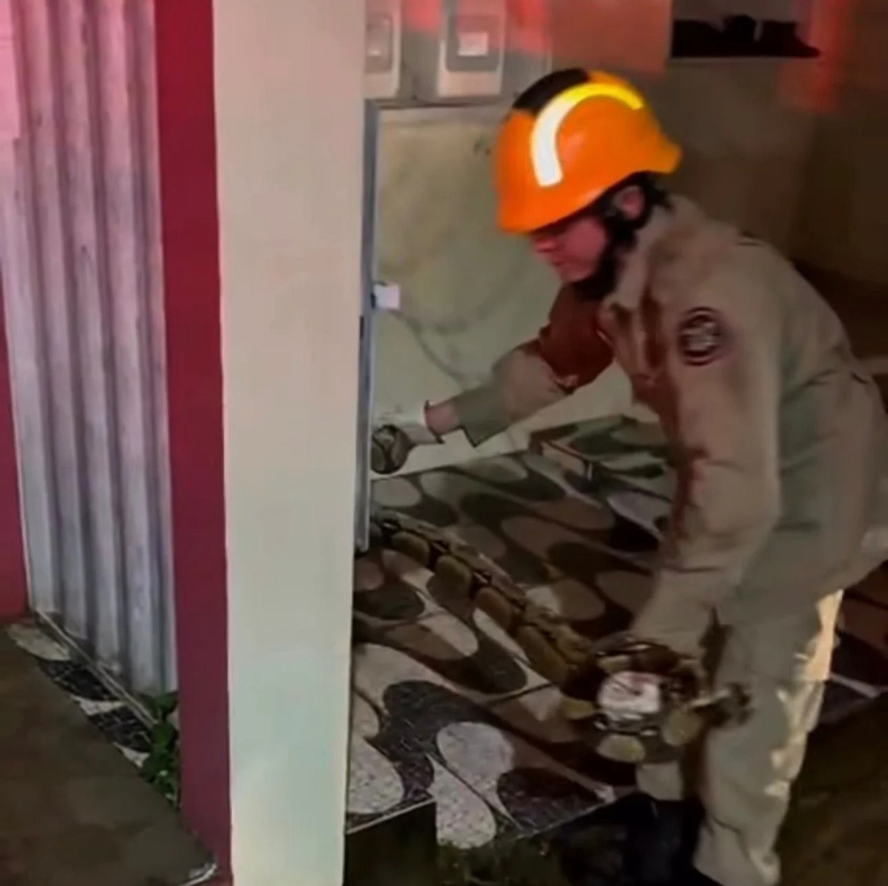 Jiboia de cerca de dois metros é resgatada pelo Corpo de Bombeiros em bairro de Sena Madureira