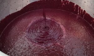 Surto de doença de Chagas em Ananindeua (PA) causa quatro mortes; consumo de açaí é investigado como possível via de transmissão