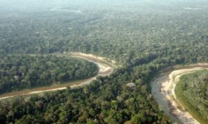 MPF instaura inquérito para investigar demolição de construção irregular na Resex Chico Mendes