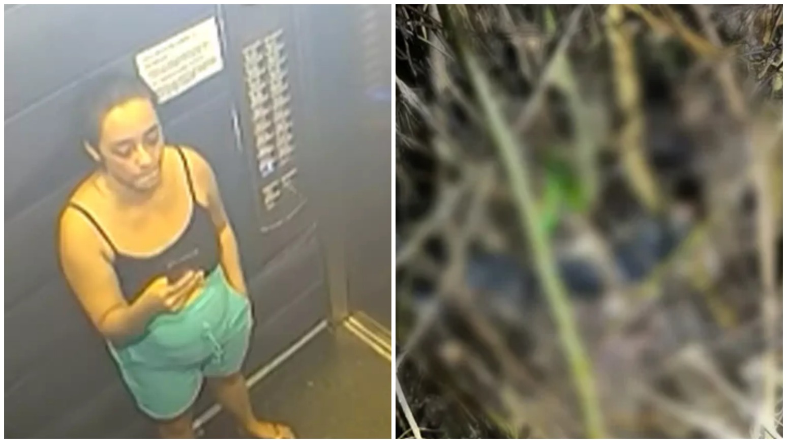 Corpo encontrado, suspeitos presos, casa destruída: o que se sabe sobre caso da corretora morta em GO Corpo encontrado, suspeitos presos, casa destruída: o que se sabe sobre caso da corretora morta em GO