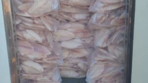 Erro de português revela carga irregular de 2 toneladas de peixes e motorista é preso