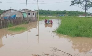 Rio Envira segue acima da cota de transbordamento em Feijó; nível atinge 12,24 metros