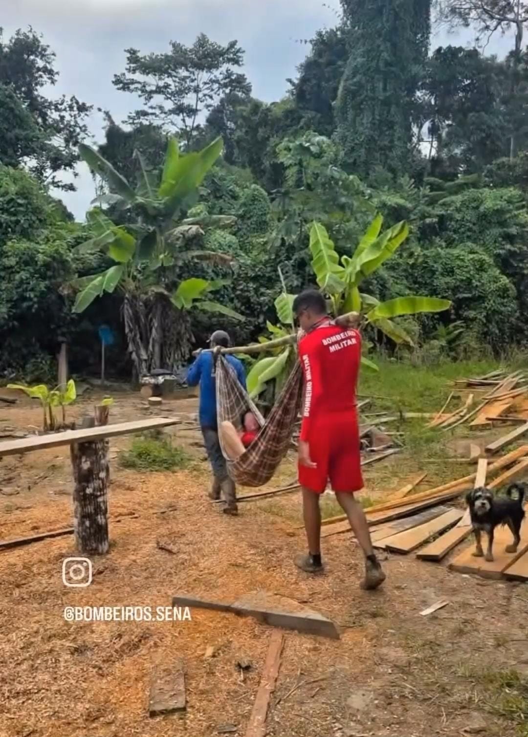 Bombeiros realizam resgate de mulher após queda de cavalo em área de difícil acesso em Sena Madureira