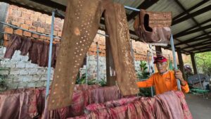 Unidos do Fuxico espera entre 350 e 400 pessoas no desfile de Carnaval em Rio Branco