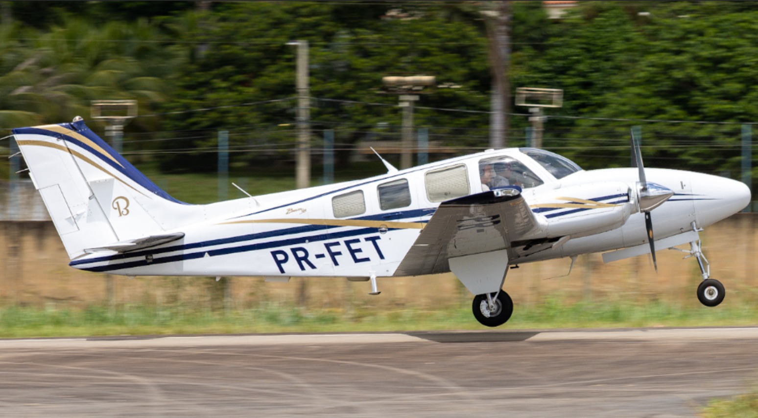 Avião de pequeno porte faz pouso de emergência após colisão com ave no interior de SP Avião de pequeno porte faz pouso de emergência após colisão com ave no interior de SP