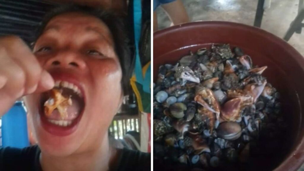 Influenciadora morre após comer ‘caranguejo do diabo’ em vídeo
