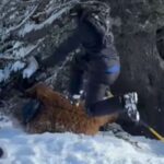 Brasileiro vestido de Chewbacca é espancado por grupo em estação de esqui na França Brasileiro vestido de Chewbacca é espancado por grupo em estação de esqui na França